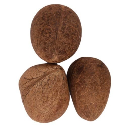 Dry Coconut